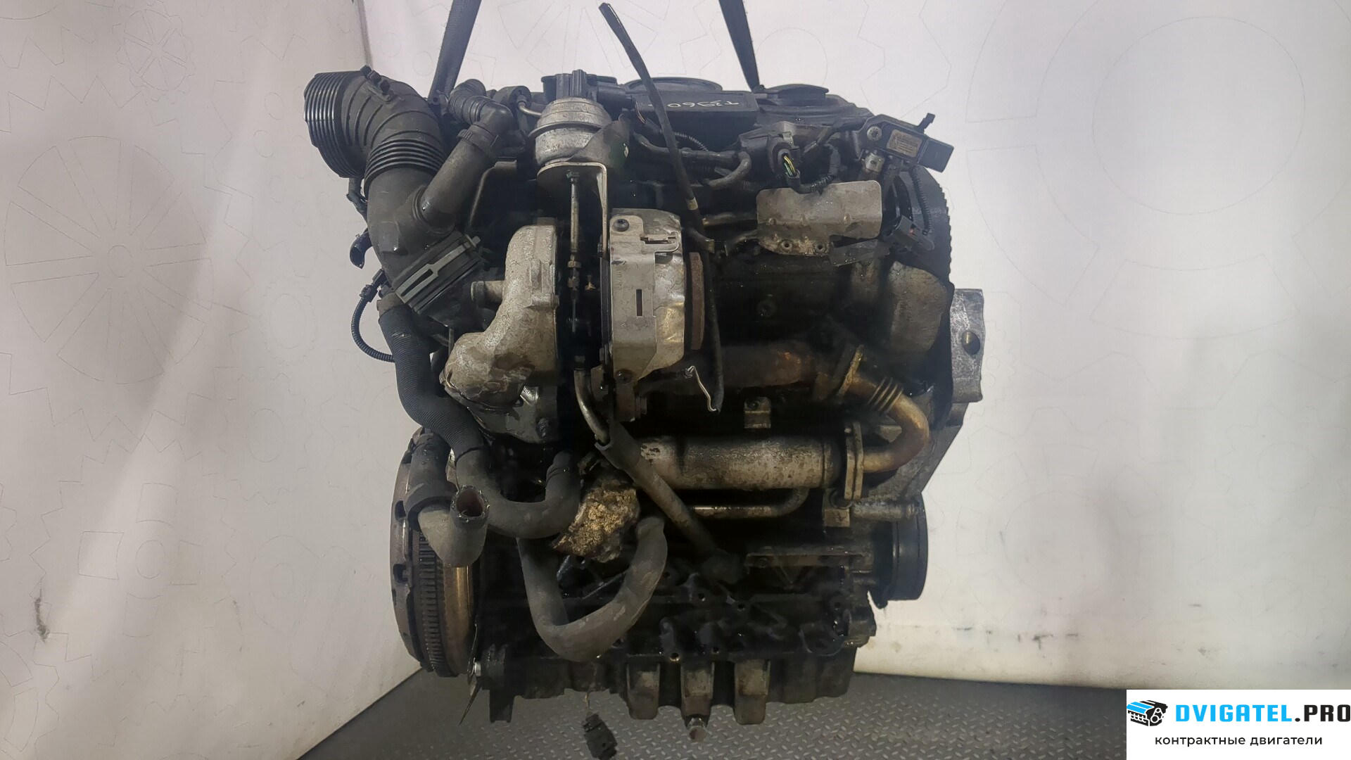Двигатель Seat Leon 2 2005 - 2009 BMN 2 л., Дизель, TDI, артикул 8912682