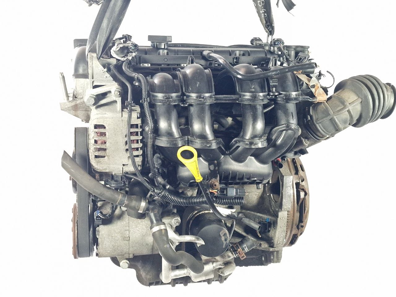 Двигатель IQDB Ford Focus 3 1.6 Бензин