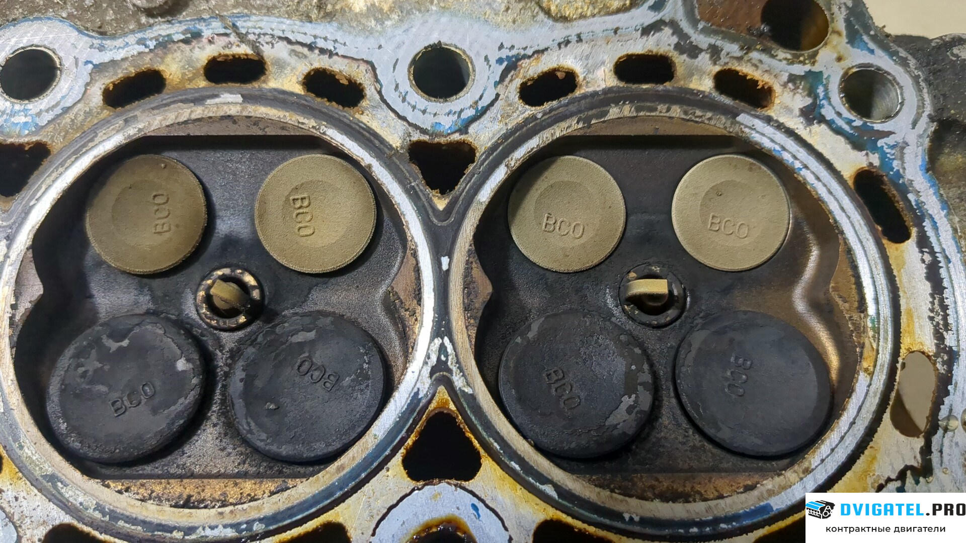 Головка блока цилиндров (ГБЦ) Nissan Micra K12E 2003 - 2010 CR12DE 1.2 л., Бензин, Инжектор, артикул 8905109