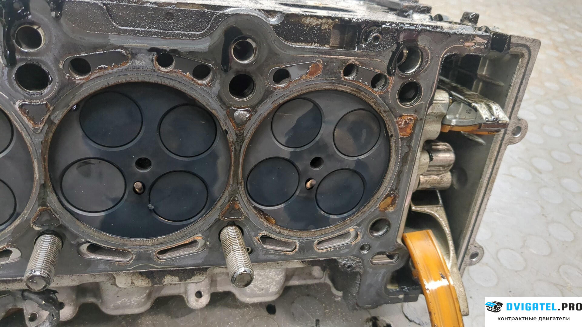 Головка блока цилиндров (ГБЦ) Audi A6 C6 2005 - 2011 CDYA 3 л., Дизель, TDI, артикул 8879306