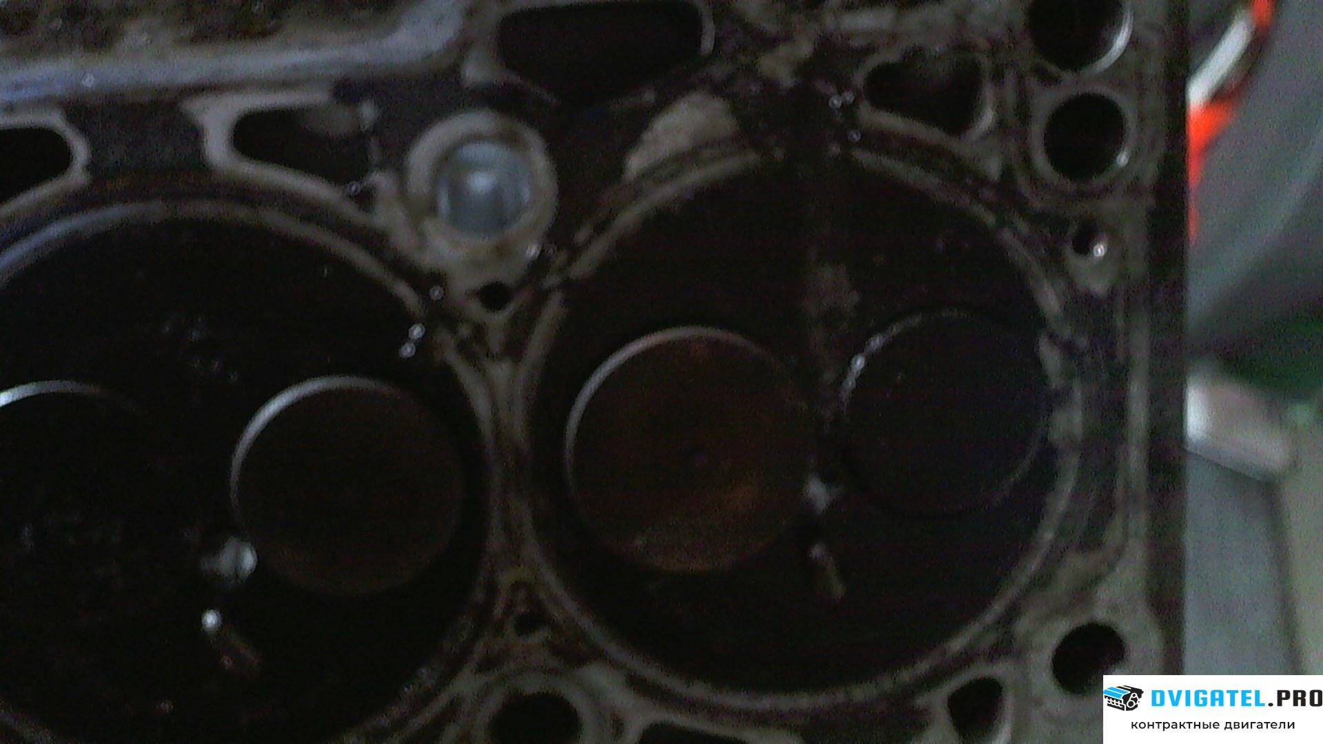 Головка блока цилиндров (ГБЦ) Volkswagen Touareg 2002 - 2007 AYH 5 л., Дизель, артикул 7767173