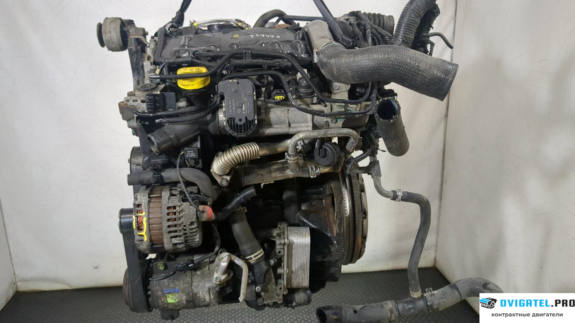 Двигатель Renault Koleos 2008 - 2016 M9R 830 2 л., Дизель, DCI, артикул 8859220