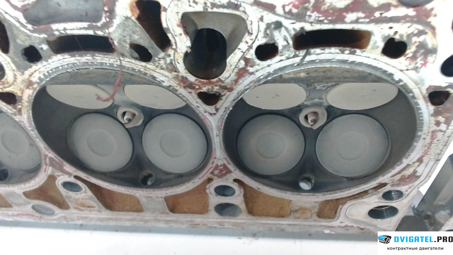 Головка блока цилиндров (ГБЦ) Audi A5 F5 2016 - 2020 CYMC 2 л., Бензин, TFSI, артикул 7784825