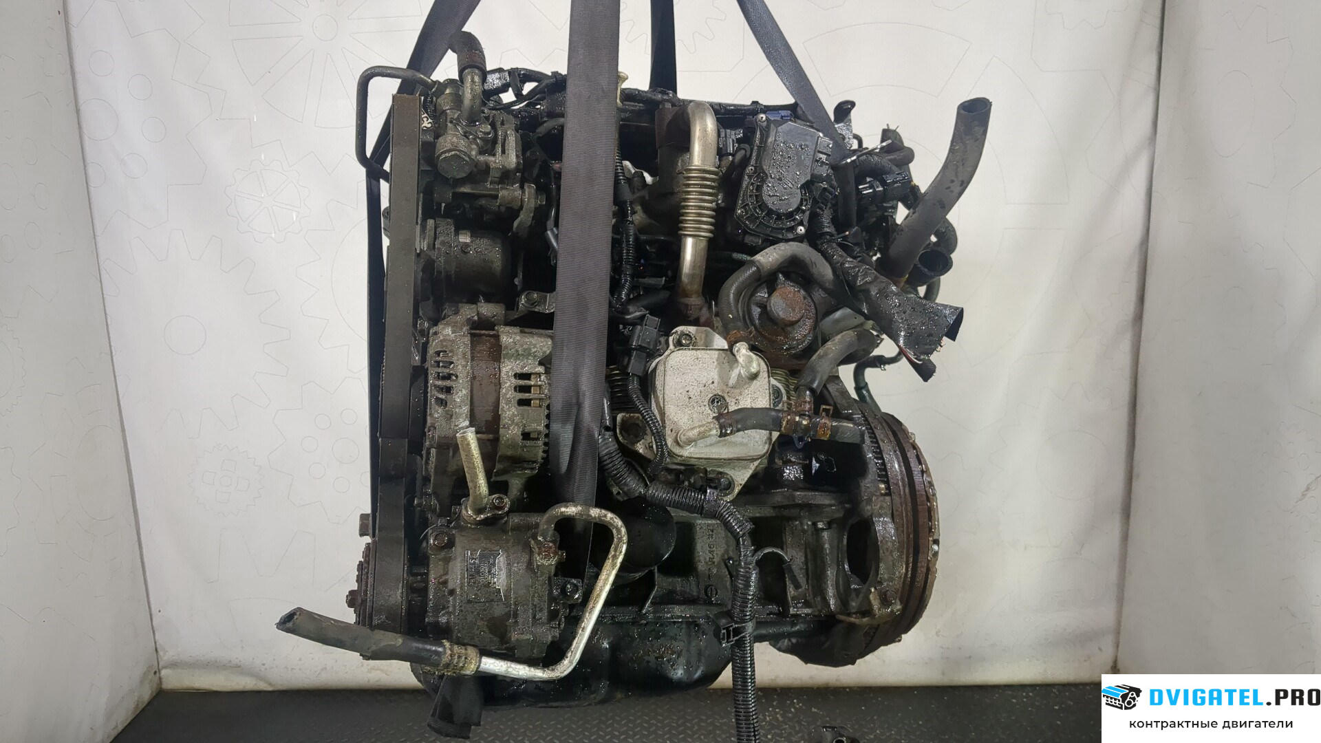 Двигатель Mitsubishi Outlander XL 2006 - 2012 4N14 2.3 л., Дизель, Турбо, артикул 8745458