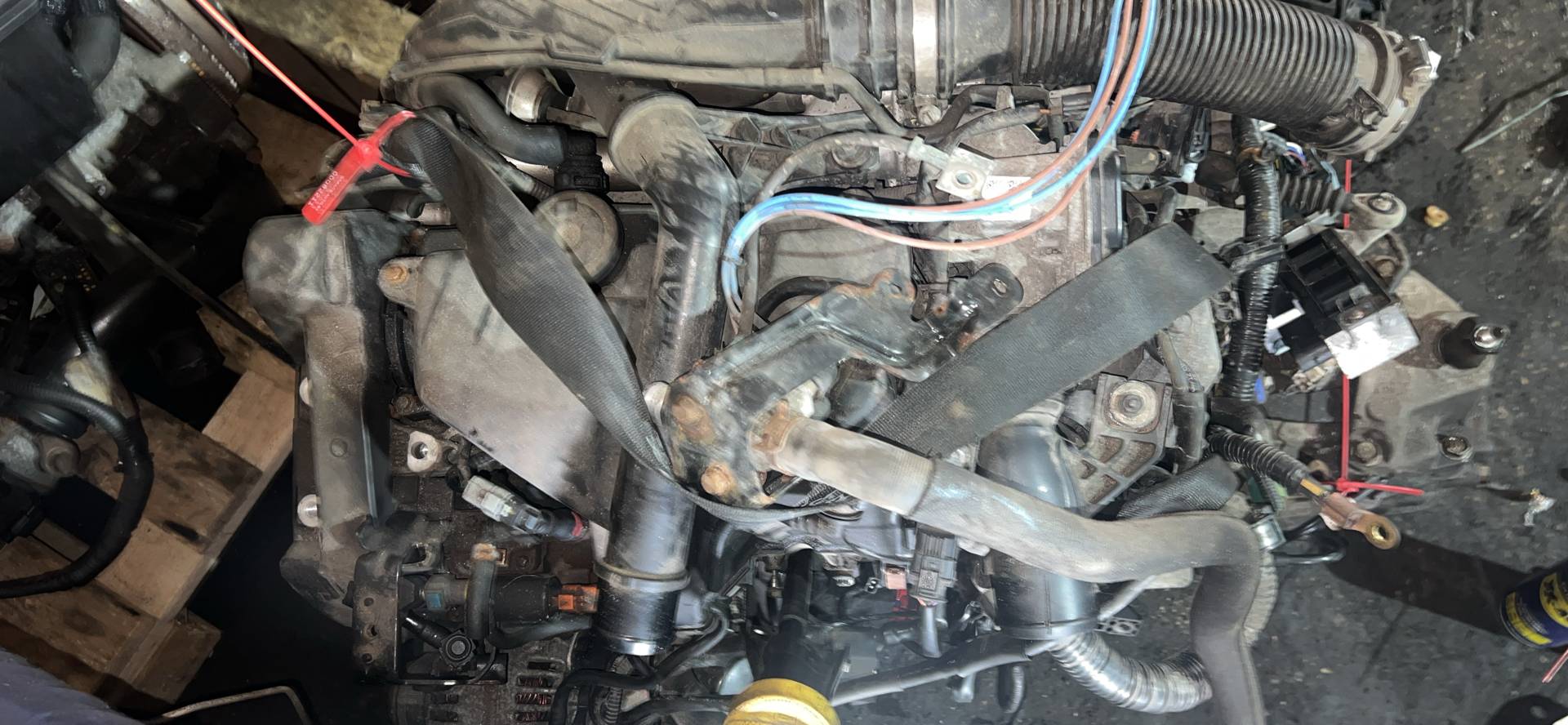 Двигатель K9KD430 Nissan Qashqai 1 1.5 Дизель