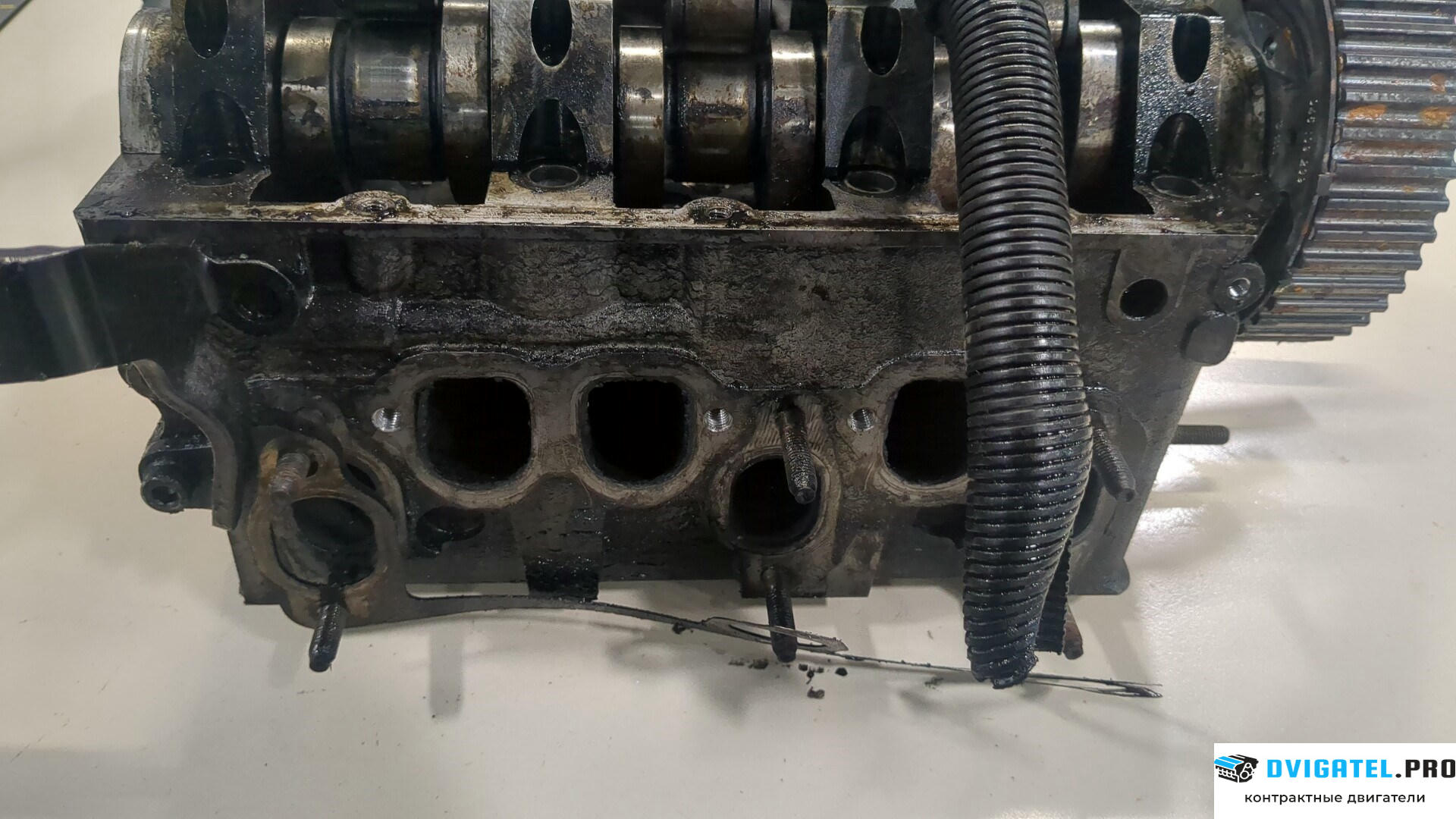 Головка блока цилиндров (ГБЦ) Volkswagen Polo 2001 - 2005 BAY 1.4 л., Дизель, TDI, артикул 8745776