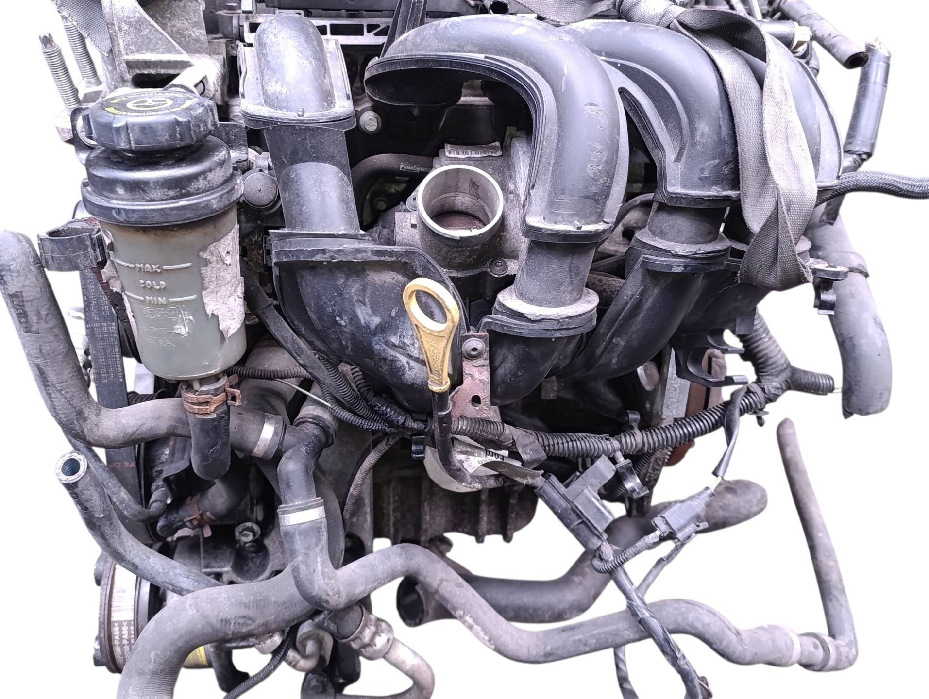 Двигатель SHDA Ford Focus 2 restailing 1.6 Бензин
