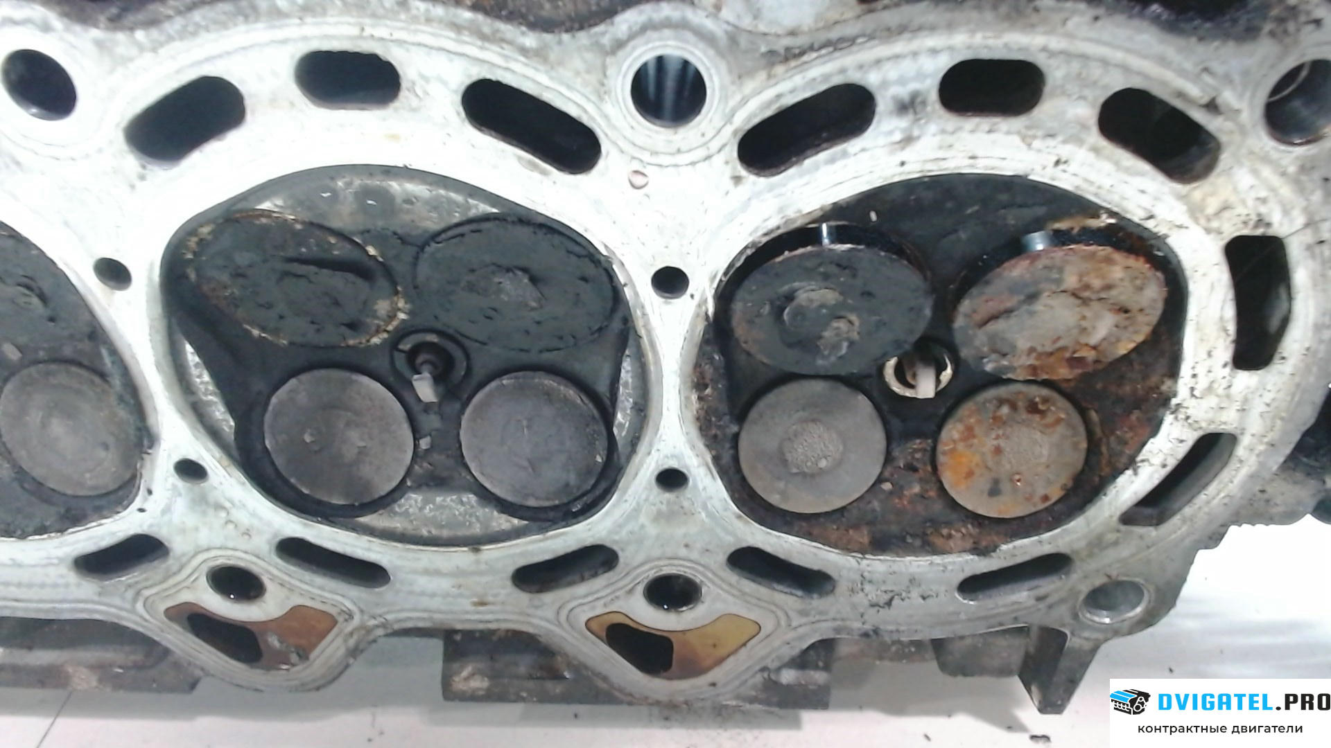 Головка блока цилиндров (ГБЦ) Toyota Prius 2003 - 2009 1NZFXE 1.5 л., Гибридный, артикул 7799567