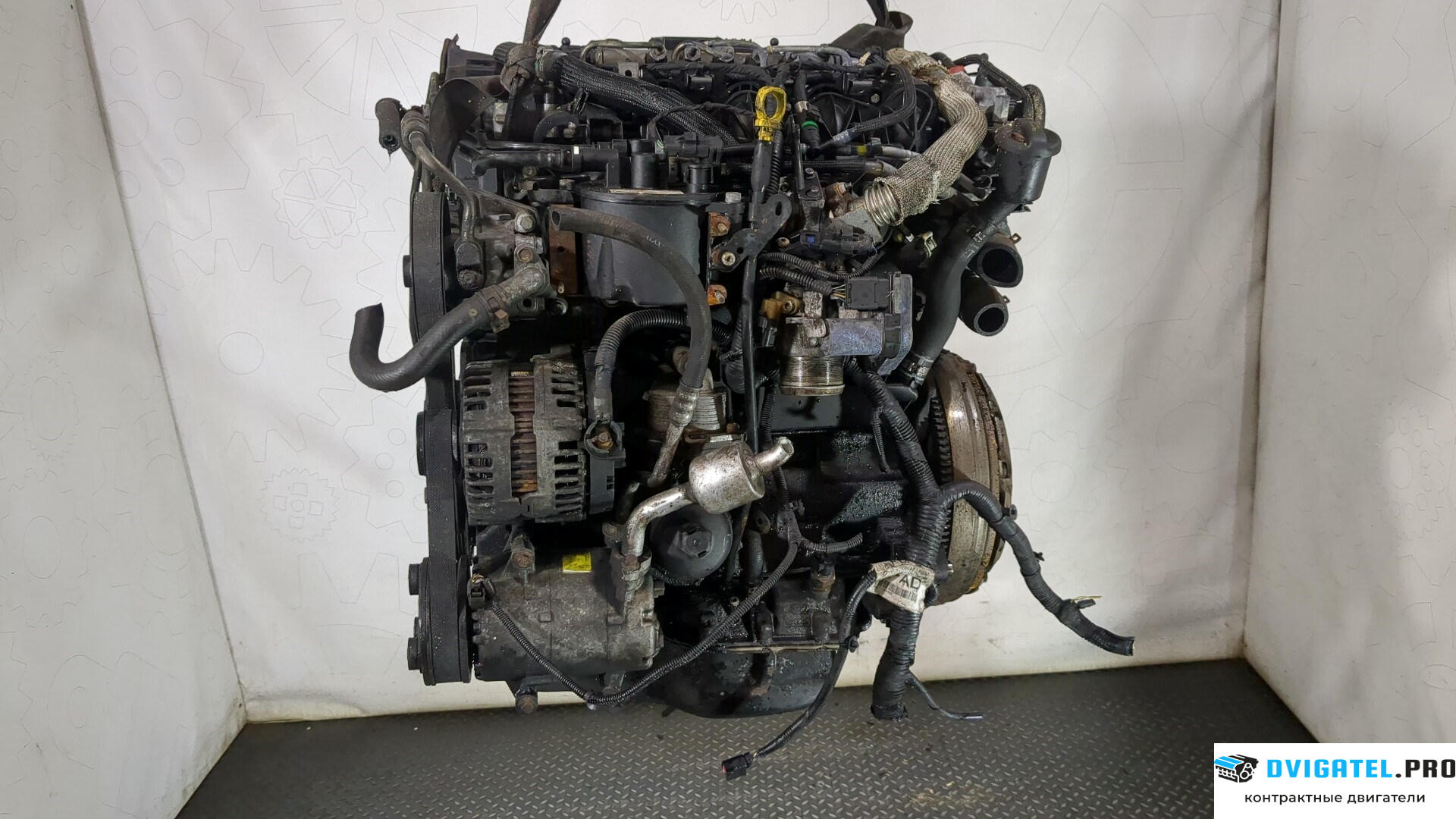 Двигатель Ford Mondeo 4 2007 - 2015 Q4BA 2.2 л., Дизель, TDCI, артикул 8823023