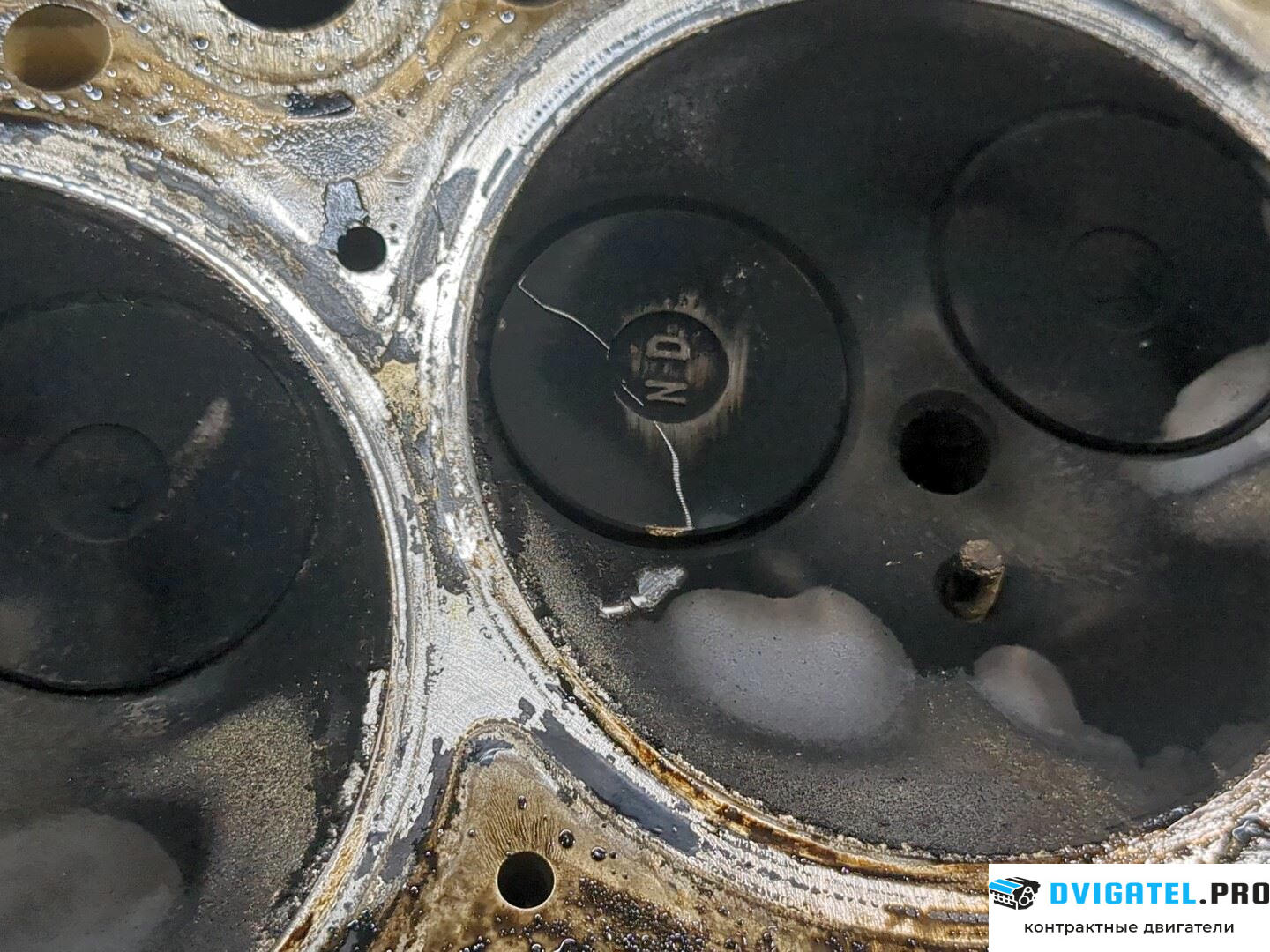 Головка блока цилиндров (ГБЦ) Mini Cooper R50 / 53 2001 - 2006 1ND 1.4 л., Дизель, Турбо, артикул 8730728