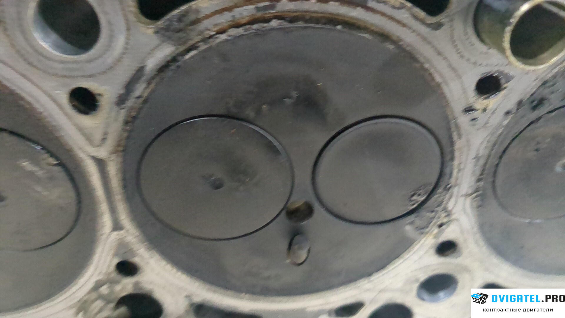 Головка блока цилиндров (ГБЦ) Volkswagen Polo 2001 - 2005 BAY 1.4 л., Дизель, TDI, артикул 8745776