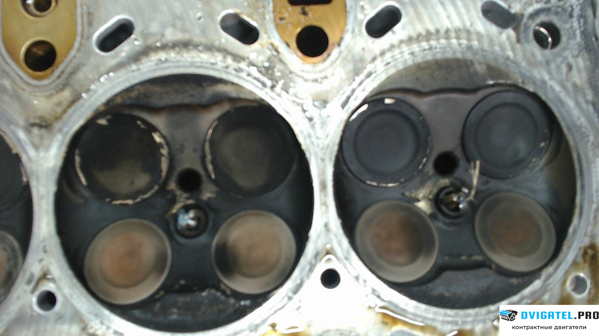 Головка блока цилиндров (ГБЦ) BMW 3 E90, E91, E92, E93 2005 - 2012 N43B20A 2 л., Бензин, Инжектор, артикул 7019517