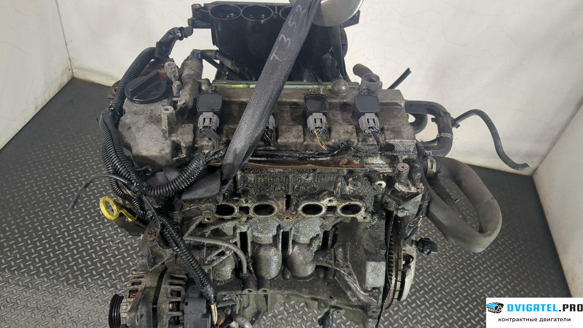 Двигатель Nissan Micra K12E 2003 - 2010 CR12DE 1.2 л., Бензин, Инжектор, артикул 8698240