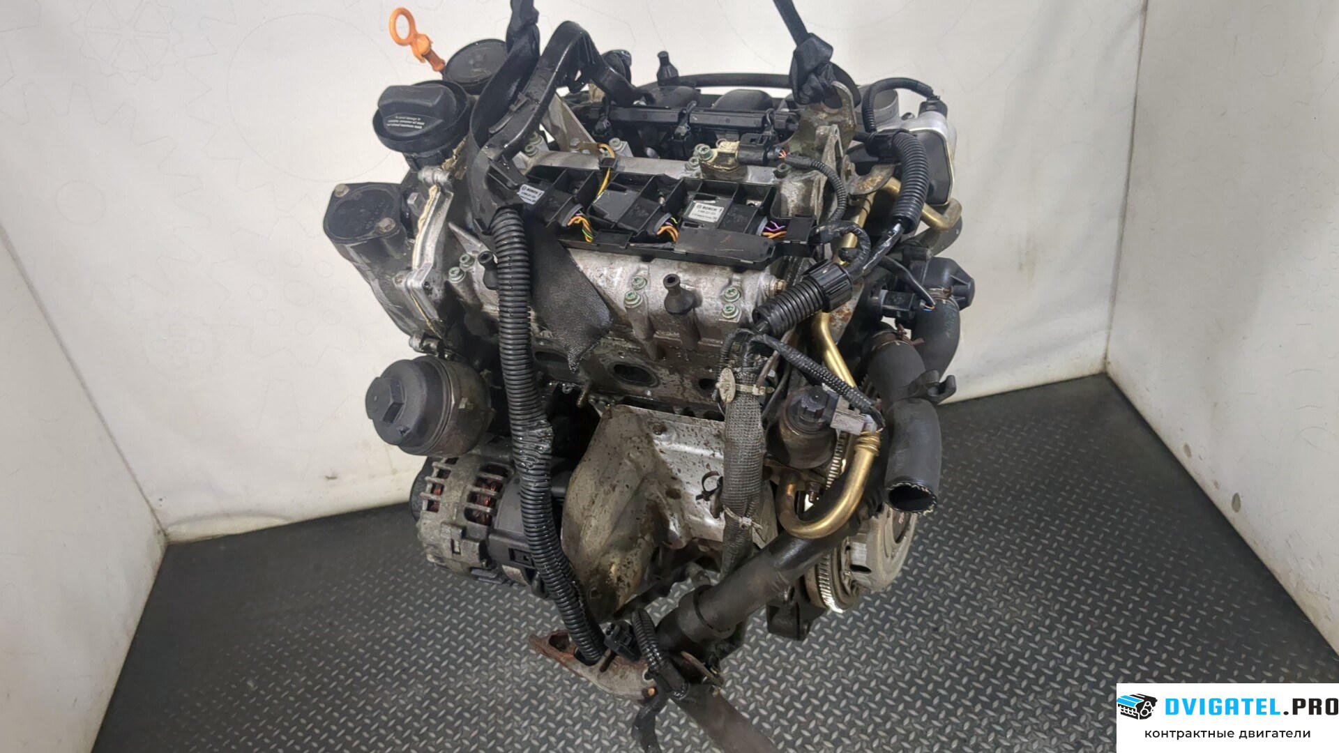 Двигатель Volkswagen Polo 2001 - 2005 AZQ 1.2 л., Бензин, Инжектор, артикул 9130130