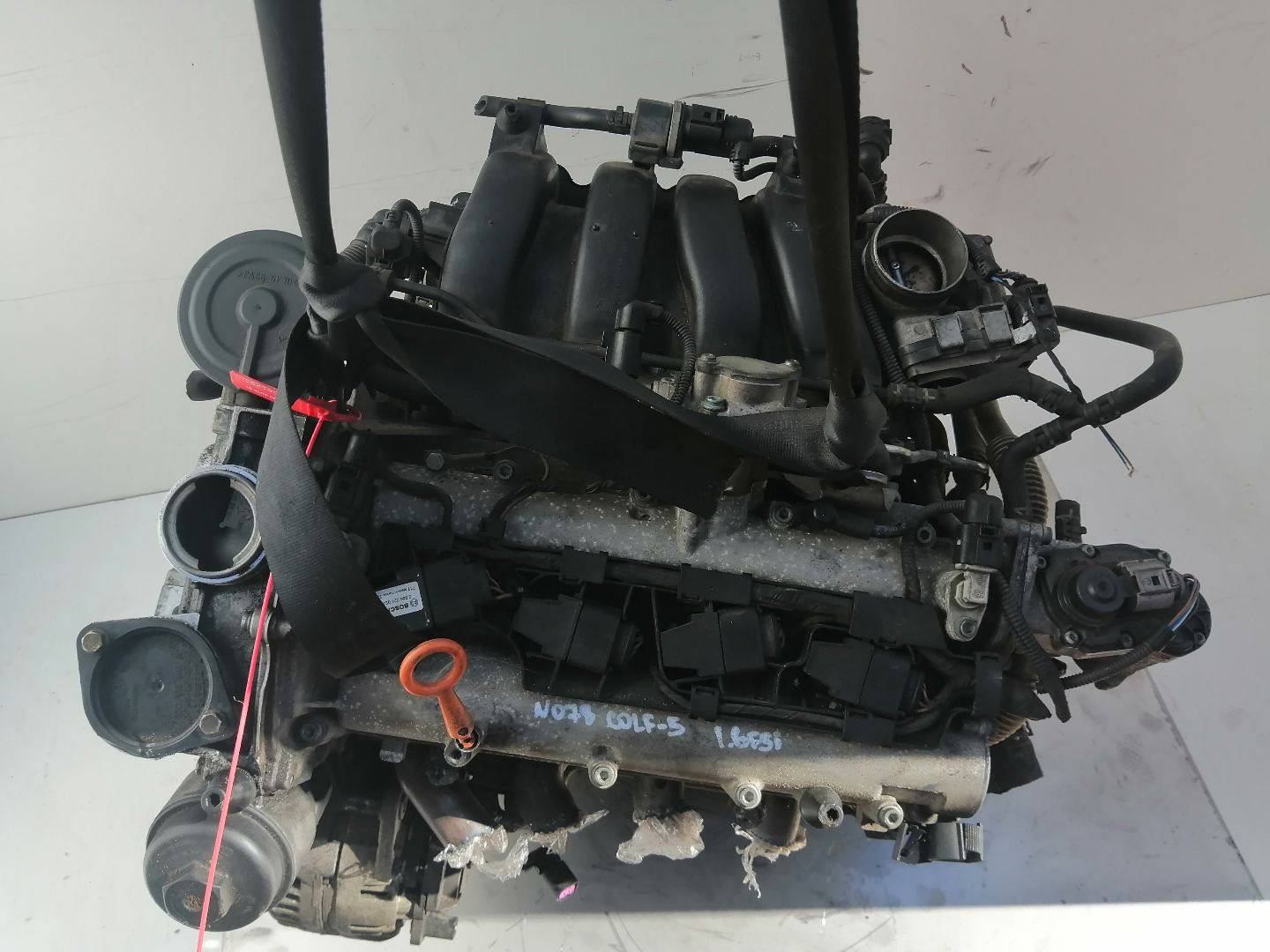 Двигатель BLP Volkswagen Golf 5 1.6 Бензин