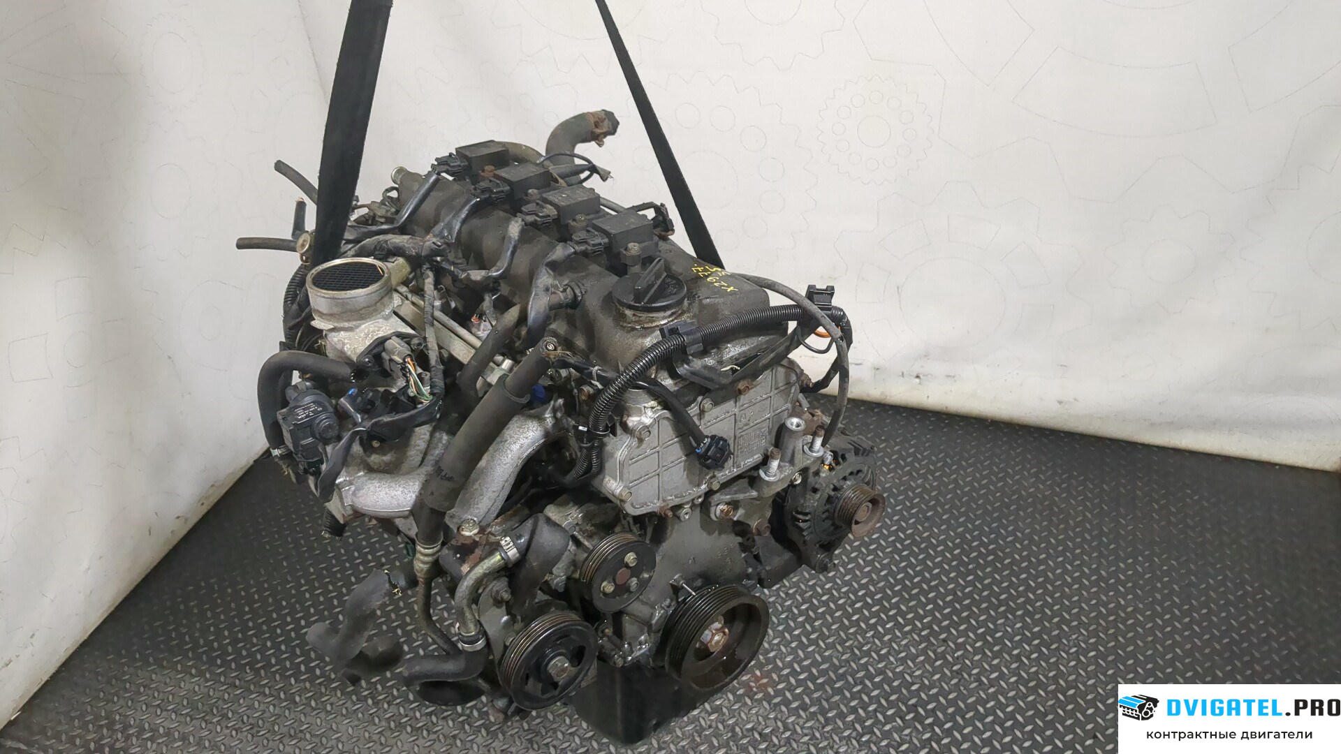 Двигатель Nissan Micra K11E 1992 - 2002 CG10DE 1 л., Бензин, Инжектор, артикул 8304501