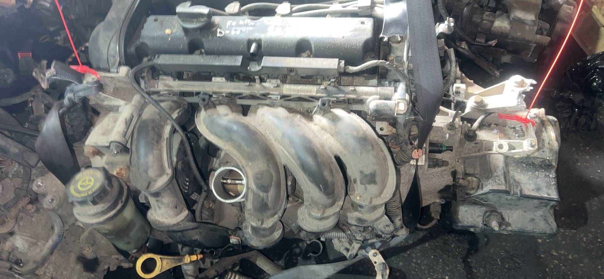 Двигатель SHDC Ford Focus 3 1.6 Бензин