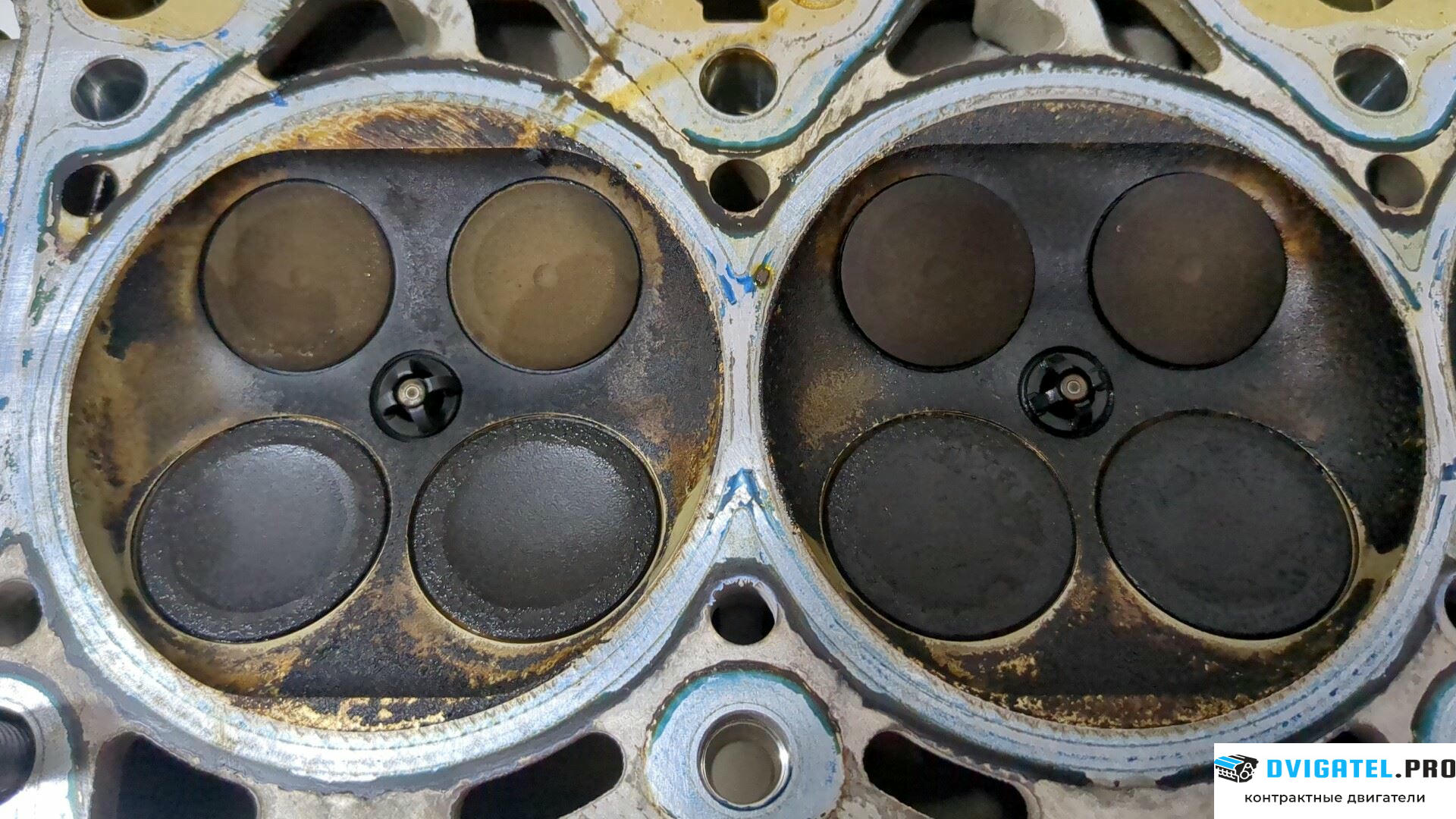 Головка блока цилиндров (ГБЦ) BMW 6 E63 2004 - 2007 N62 B44A 4.4 л., Бензин, Инжектор, артикул 9209450