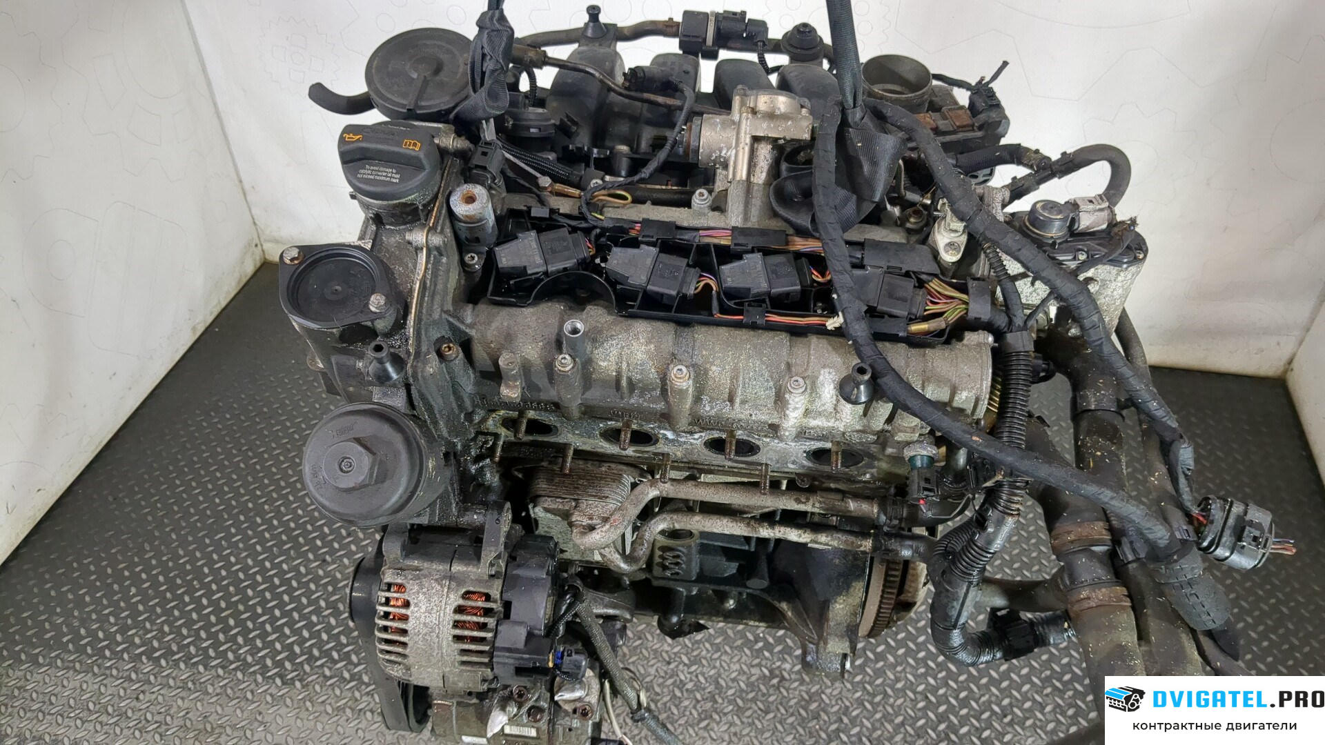 Двигатель Volkswagen Golf 5 2003 - 2009 BLF 1.6 л., Бензин, FSI, артикул 8887403