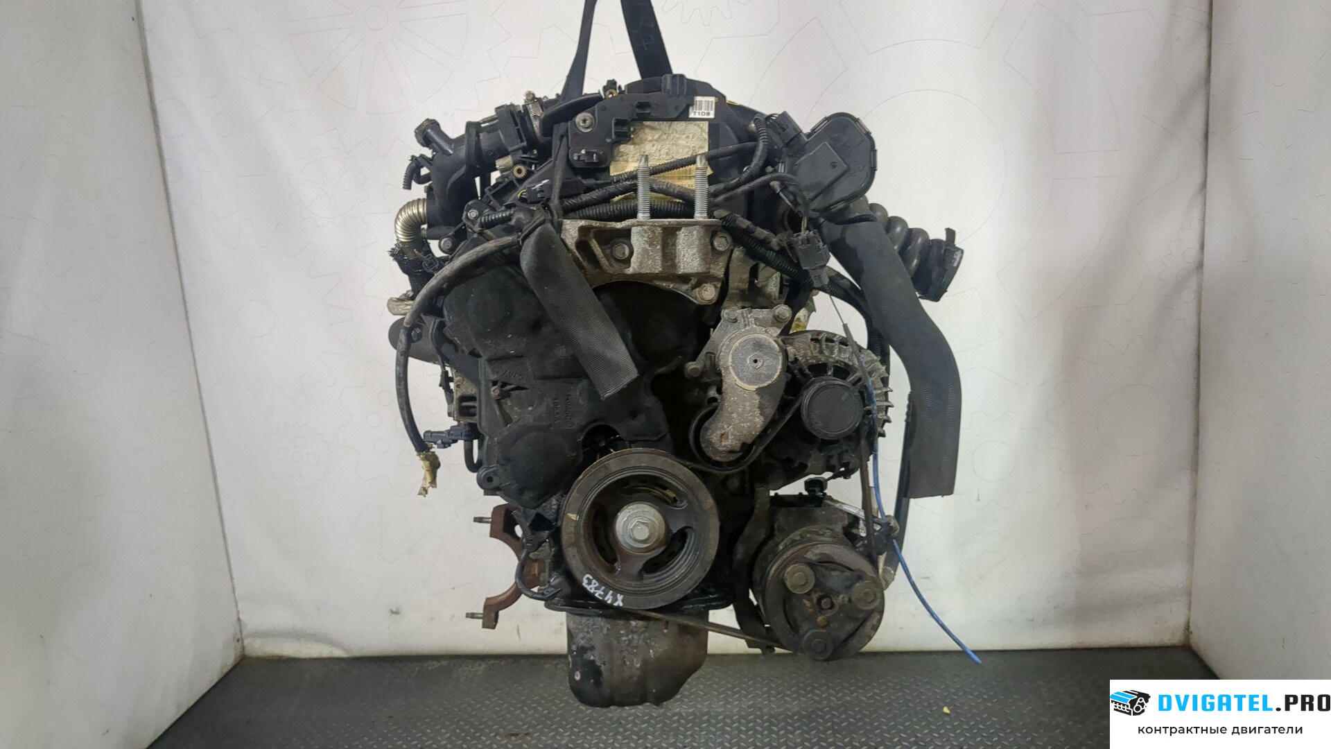 Двигатель Ford Focus 3 2011 - 2015 T1DB 1.6 л., Дизель, TDCI, артикул 8958146