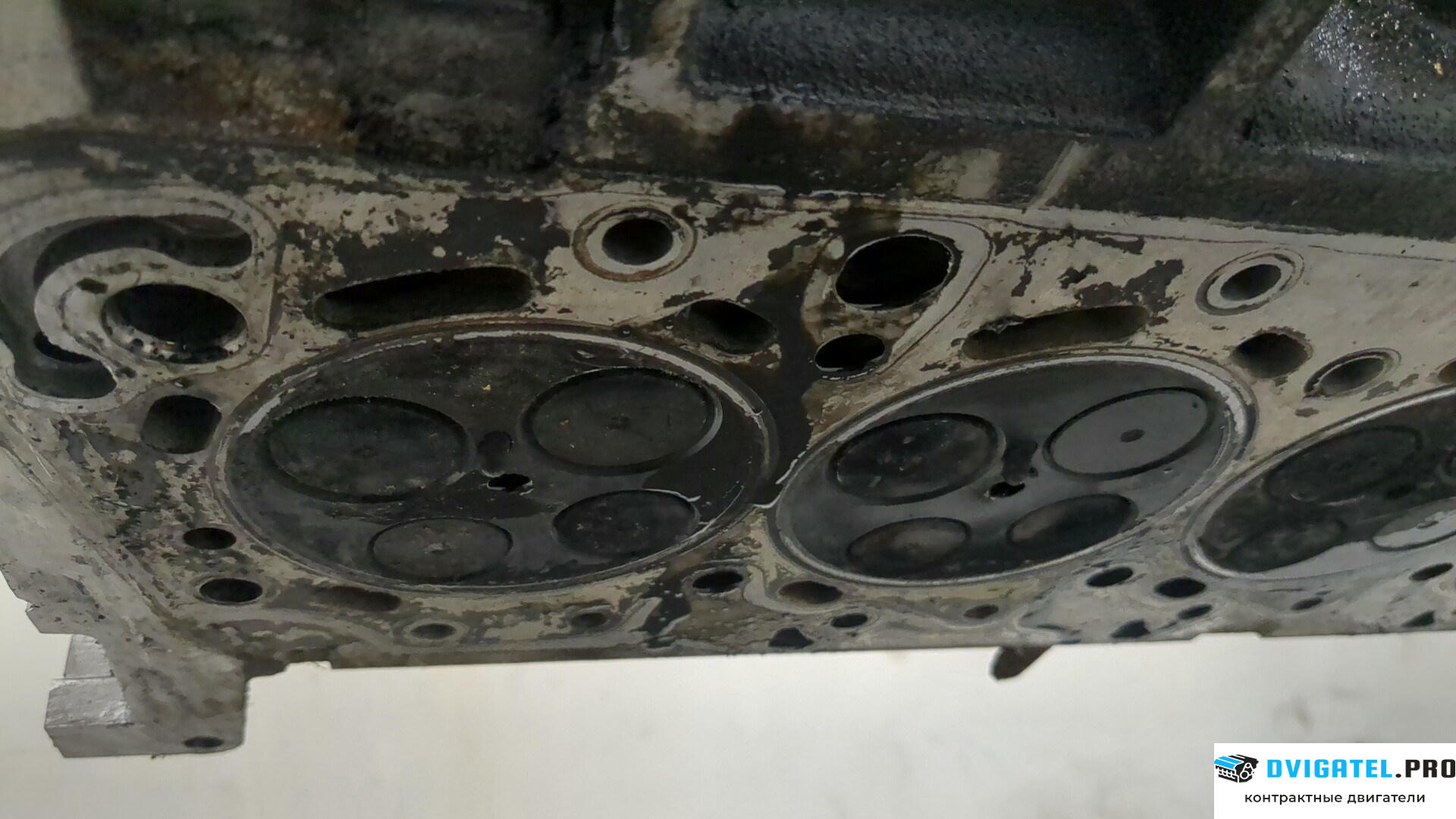 Головка блока цилиндров (ГБЦ) Ford Transit 2000 - 2006 FiFA 2 л., Дизель, TDCI, артикул 8479657
