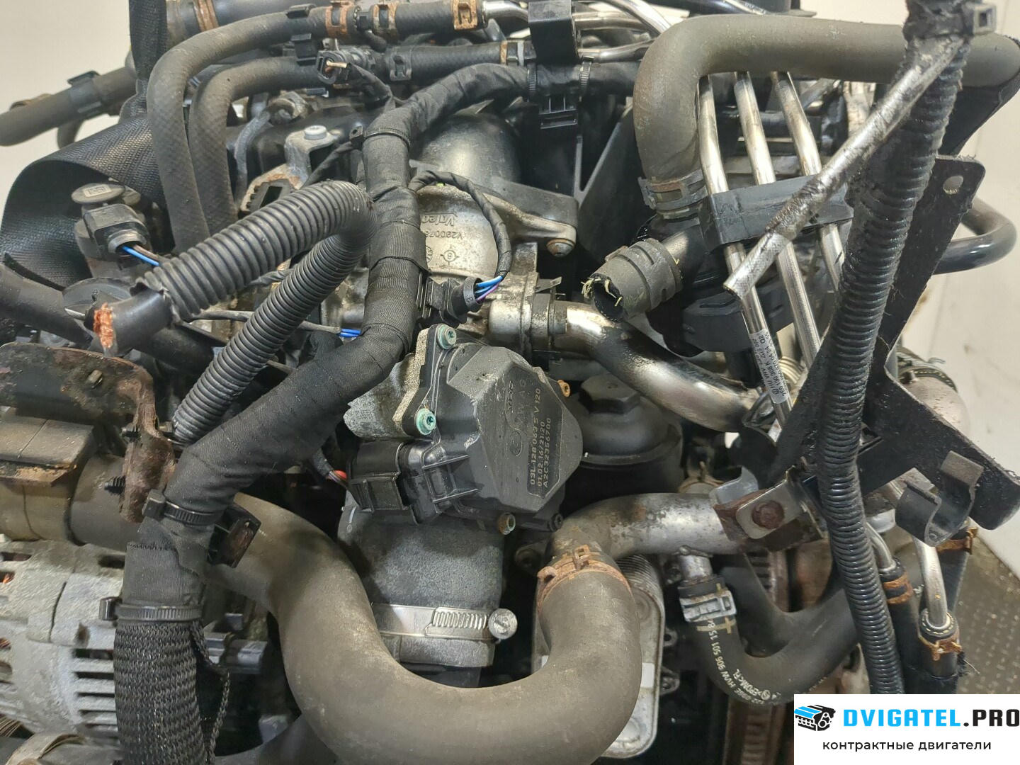 Двигатель Volkswagen Crafter 2006 - 2016 CKTB 2 л., Дизель, TDI, артикул 9235541