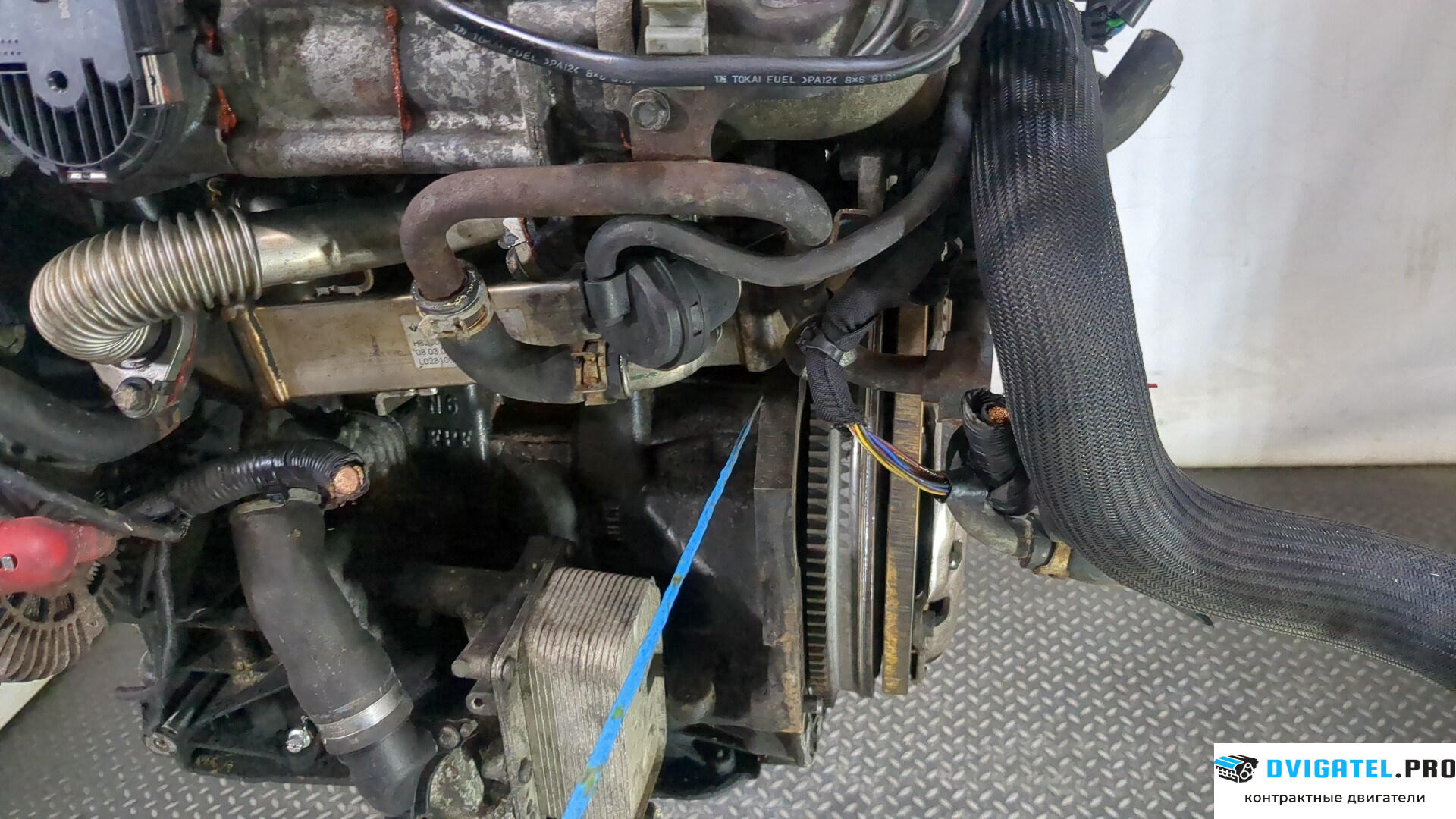 Двигатель Nissan Qashqai 2006 - 2013 M9R 2 л., Дизель, DCI, артикул 9123576