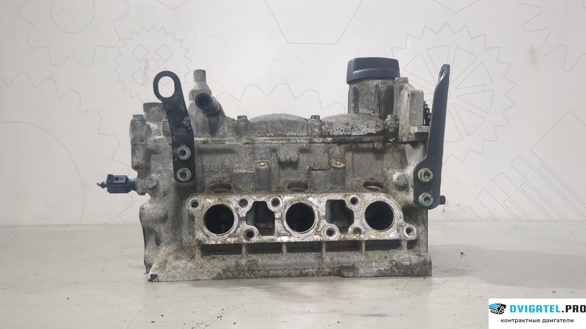 Головка блока цилиндров (ГБЦ) Volkswagen Fox 2005 - 2011 BMD 1.2 л., Бензин, Инжектор, артикул 9212163