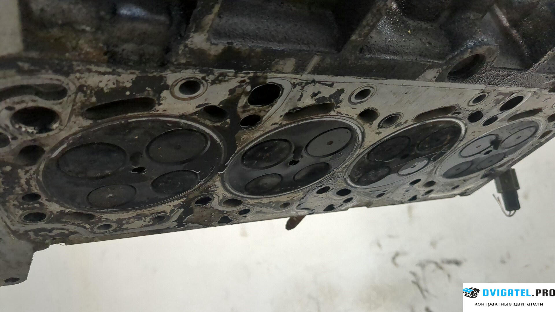 Головка блока цилиндров (ГБЦ) Ford Transit 2000 - 2006 FiFA 2 л., Дизель, TDCI, артикул 8479657