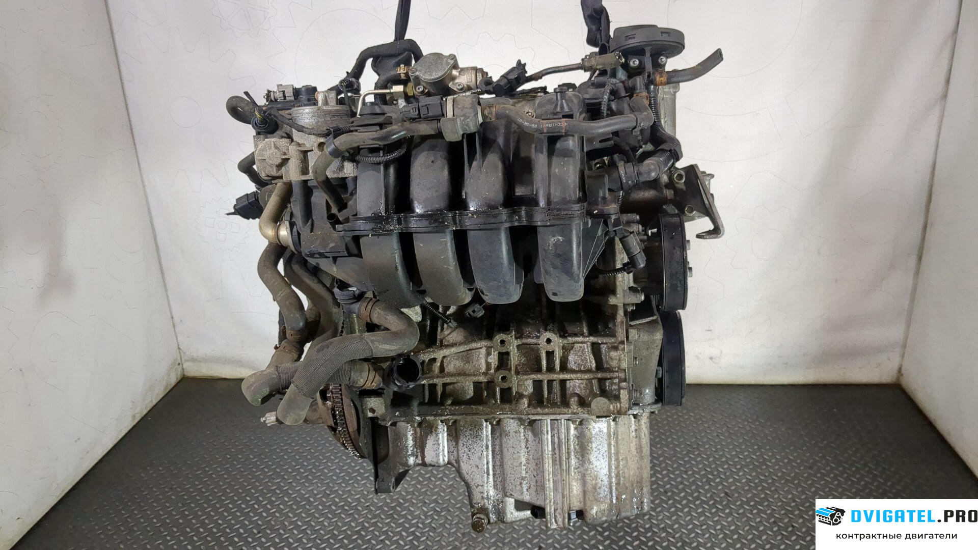 Двигатель Volkswagen Golf 5 2003 - 2009 BLF 1.6 л., Бензин, FSI, артикул 8887403