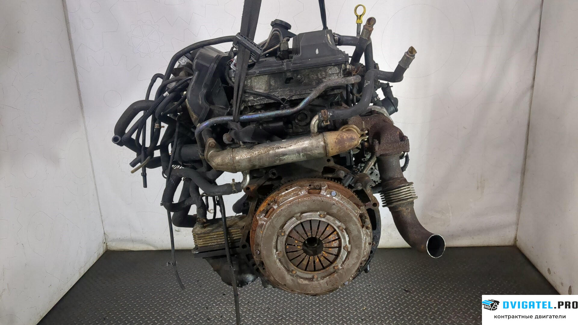 Двигатель Ford Transit 2000 - 2006 D2FA, D2FB, D2FE 2.4 л., Дизель, TDDI, артикул 9153246