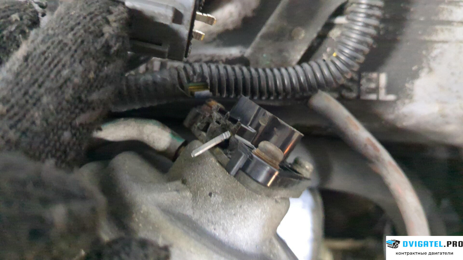 Двигатель Mitsubishi L200 1996 - 2006 4D56 2.5 л., Дизель, Турбо, артикул 9204121