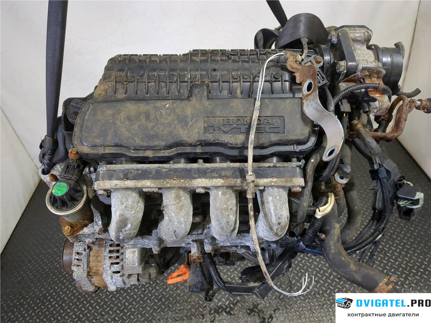 Двигатель Honda Jazz 2008 - 2015 L12B1, L12B2 1.2 л., Бензин, Инжектор, артикул 7973852