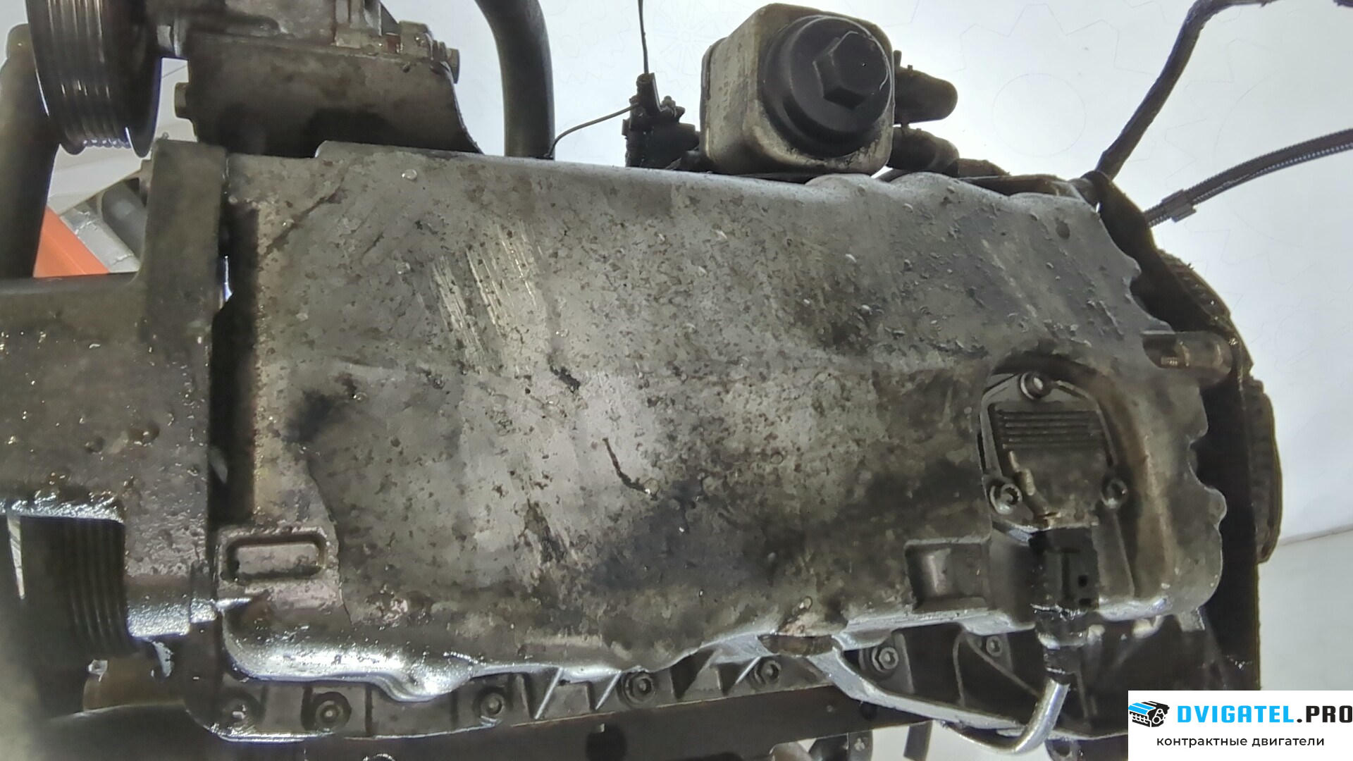 Двигатель Volkswagen Sharan 2000 - 2010 BVK 1.9 л., Дизель, TDI, артикул 9204692