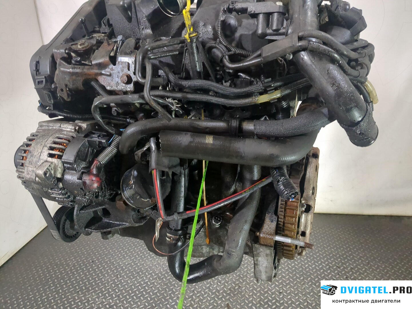 Двигатель Nissan Micra K12E 2003 - 2010 K9K 1.5 л., Дизель, DCI, артикул 8568434