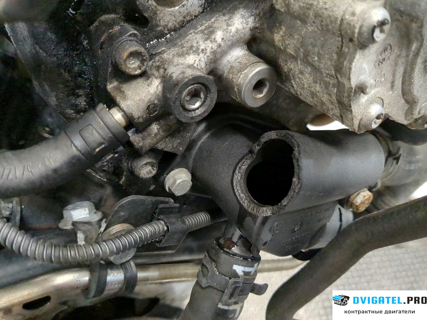 Двигатель Volkswagen Golf 5 2003 - 2009 BXE 1.9 л., Дизель, TDI, артикул 8640518