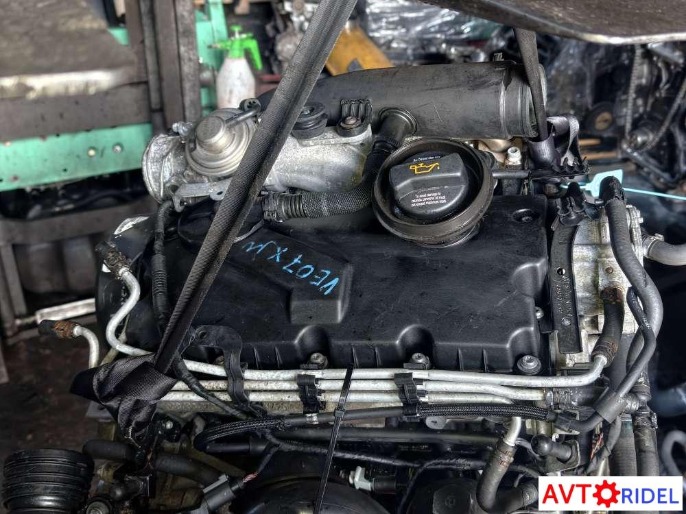 Двигатель Bxe Volkswagen Passat B6 1.9 Дизель