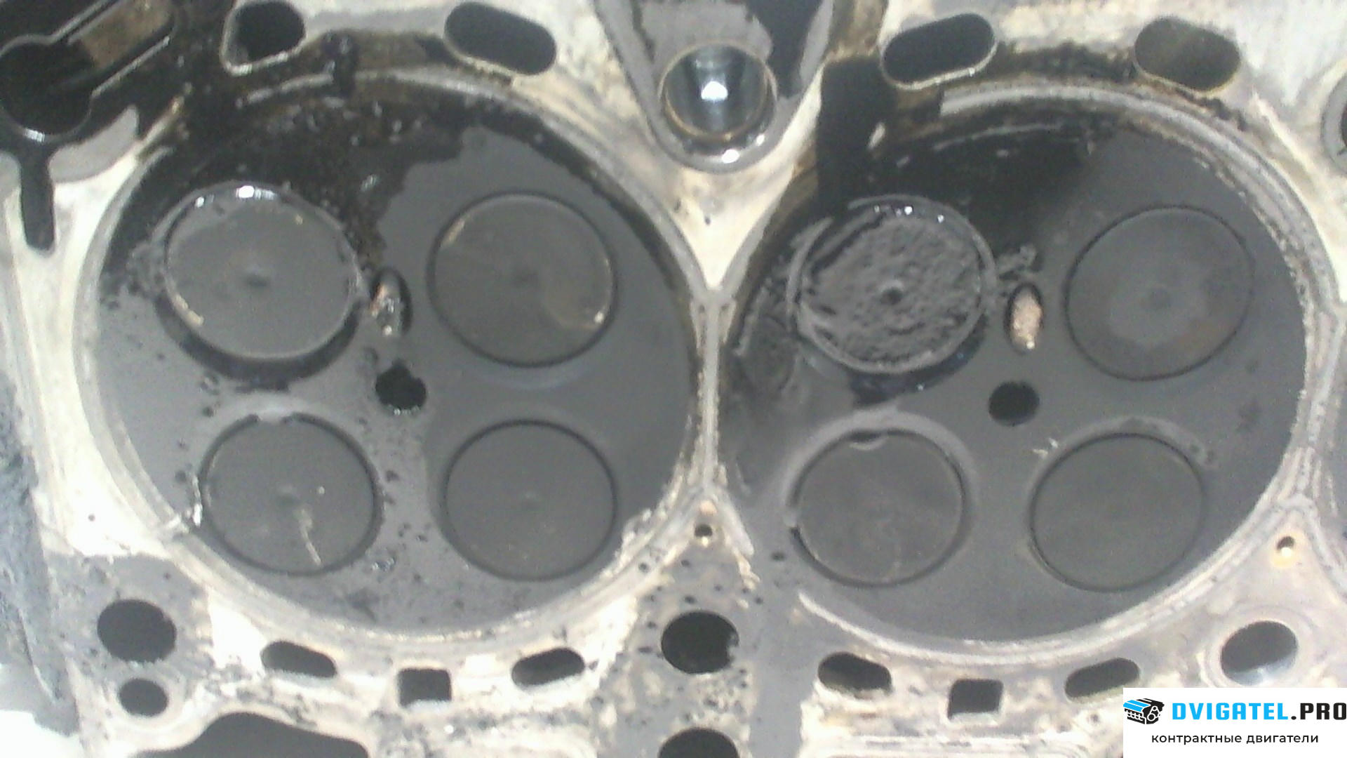 Головка блока цилиндров (ГБЦ) BMW X3 E83 2004 - 2010 204D4 / M47N 2 л., Дизель, TDI, артикул 6669910