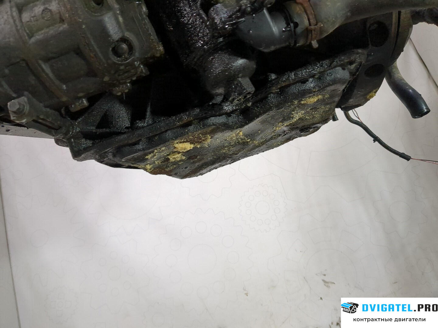 Двигатель Renault Espace 4 2002 - н.в. M9R 760 2 л., Дизель, DCI, артикул 8651810
