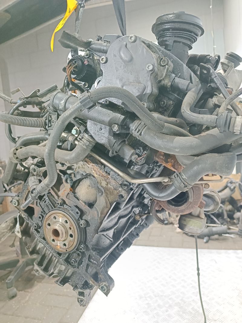 Двигатель BKC Volkswagen Jetta 5 1.9 Дизель
