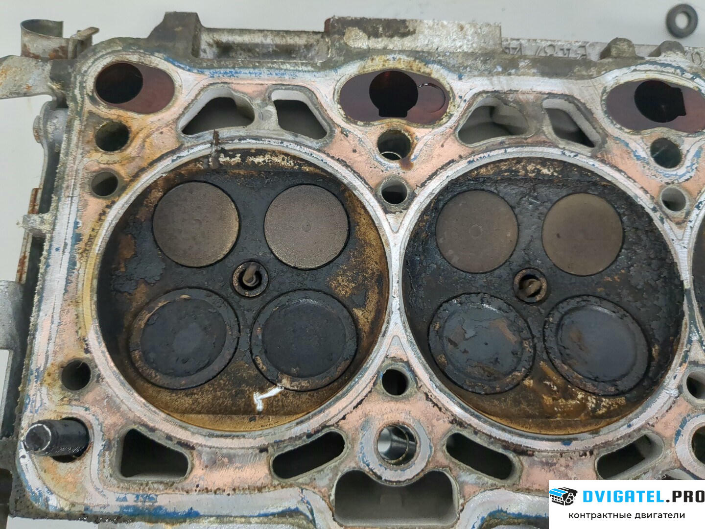 Головка блока цилиндров (ГБЦ) BMW X5 E53 2000 - 2007 N62 B48A 4.8 л., Бензин, Инжектор, артикул 8243469