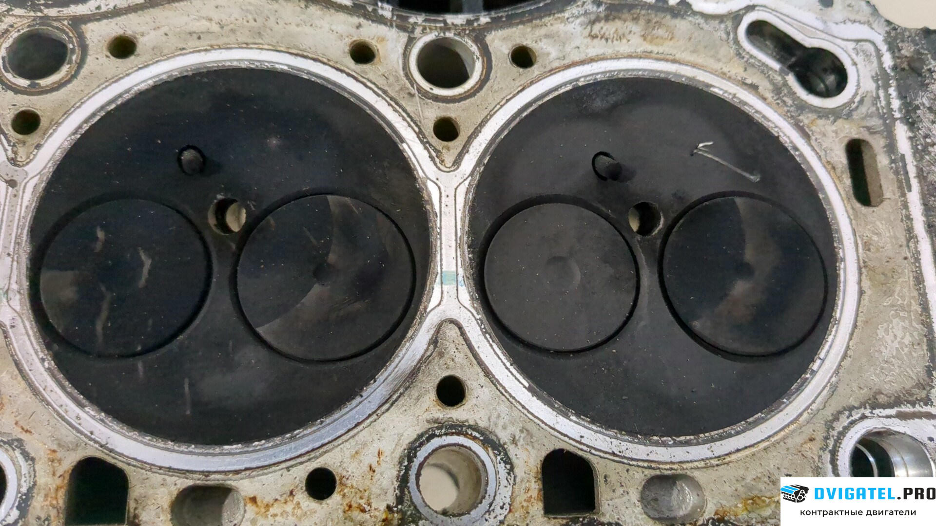 Головка блока цилиндров (ГБЦ) Renault Scenic 2003 - 2009 F9Q 804 1.9 л., Дизель, DCI, артикул 9239610