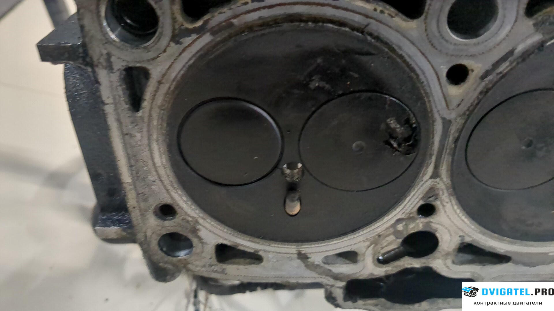 Головка блока цилиндров (ГБЦ) Volkswagen Polo 2001 - 2005 BAY 1.4 л., Дизель, TDI, артикул 8745776