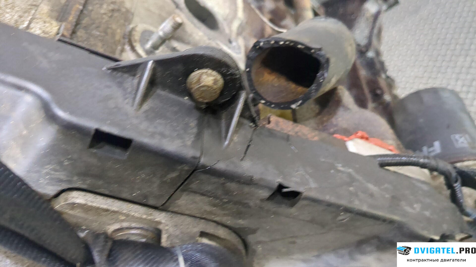 Двигатель Fiat Panda 2003 - 2012 188 A 4.000 1.2 л., Бензин, Инжектор, артикул 8954033