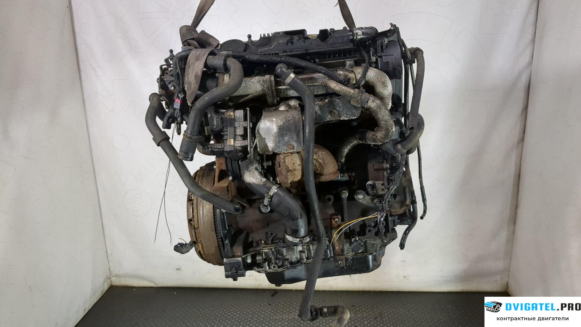 Двигатель Ford Mondeo 4 2007 - 2015 Q4BA 2.2 л., Дизель, TDCI, артикул 8823023
