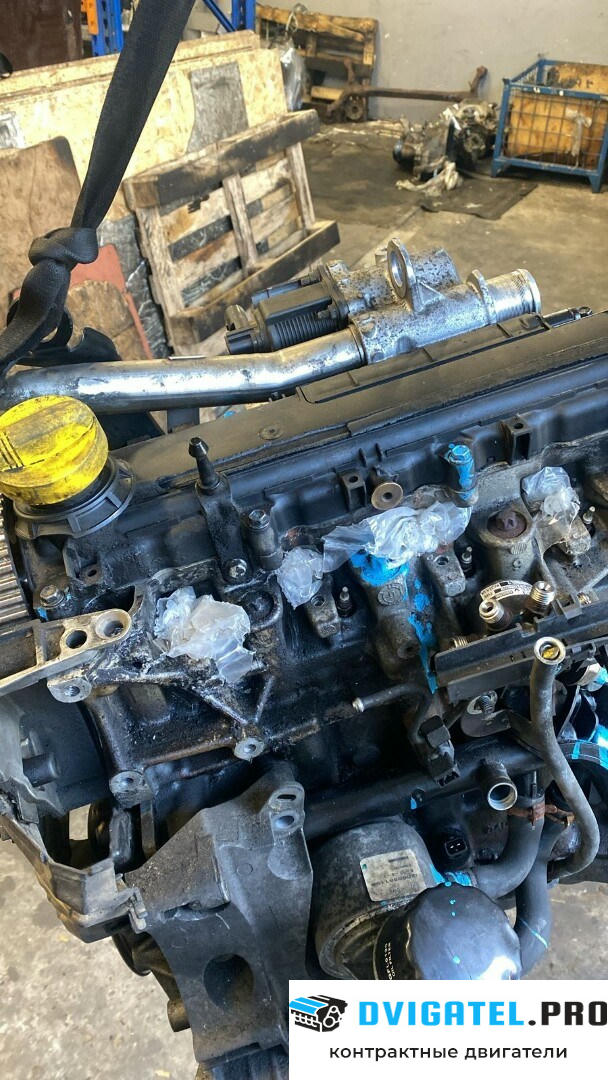 Двигатель Renault Kangoo 1998 - 2008 K9K 702 1.5 л., Дизель, DCI, артикул 8826418