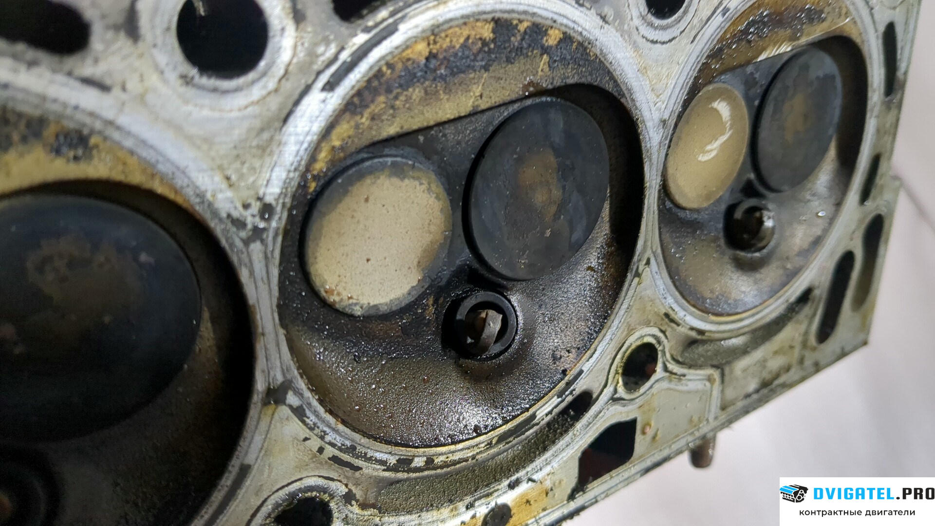 Головка блока цилиндров (ГБЦ) Volkswagen Polo 2001 - 2005 AWY 1.2 л., Бензин, Инжектор, артикул 8897038