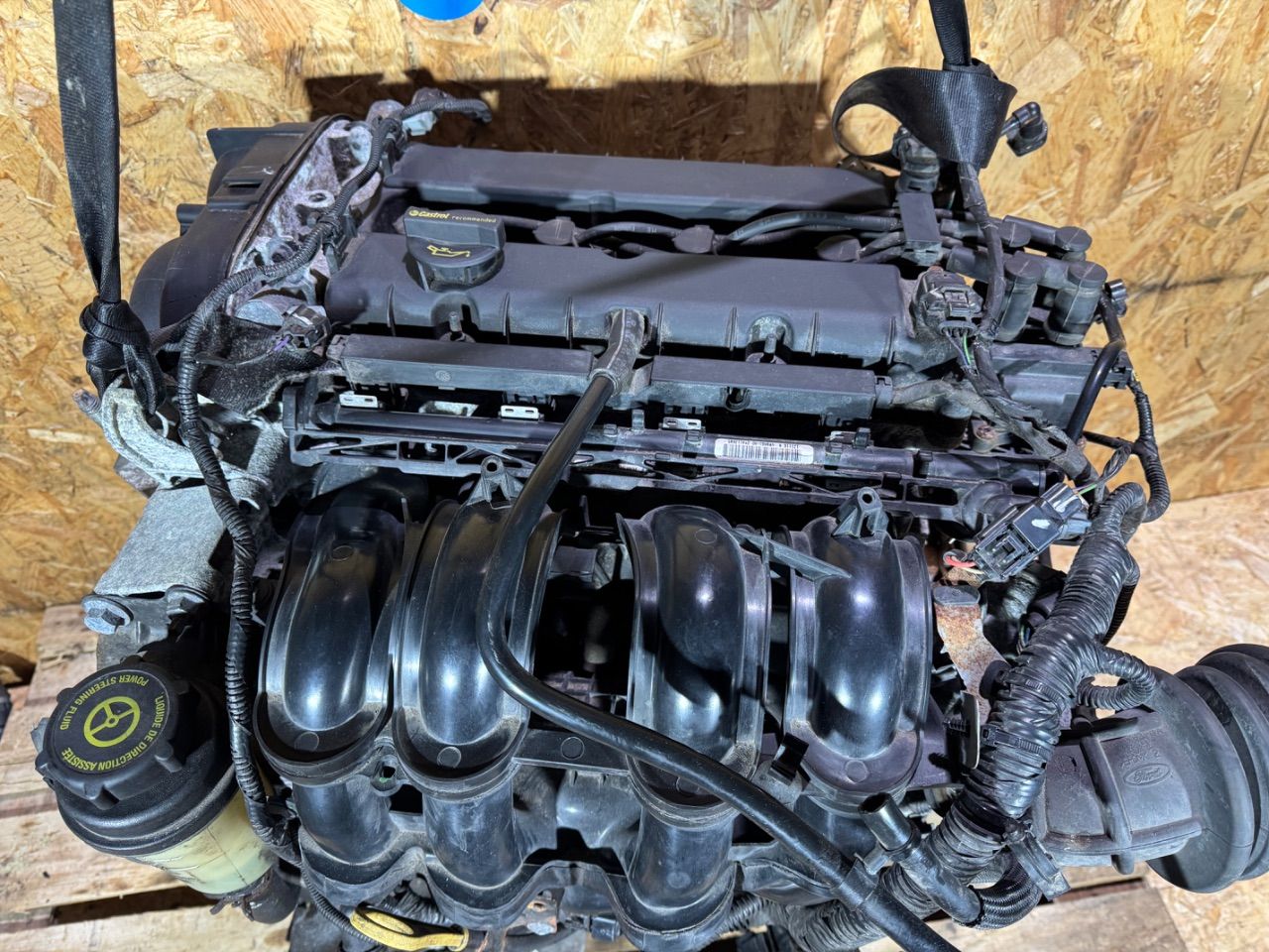Двигатель IQDB Ford Focus 3 1.6 Бензин
