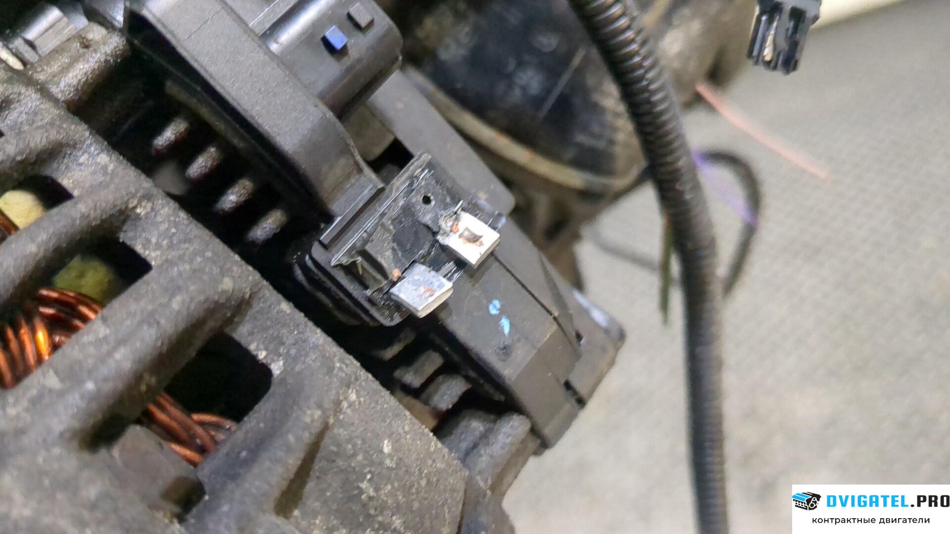 Двигатель Renault Scenic 2003 - 2009 K9K 732 1.5 л., Дизель, DCI, артикул 9235365