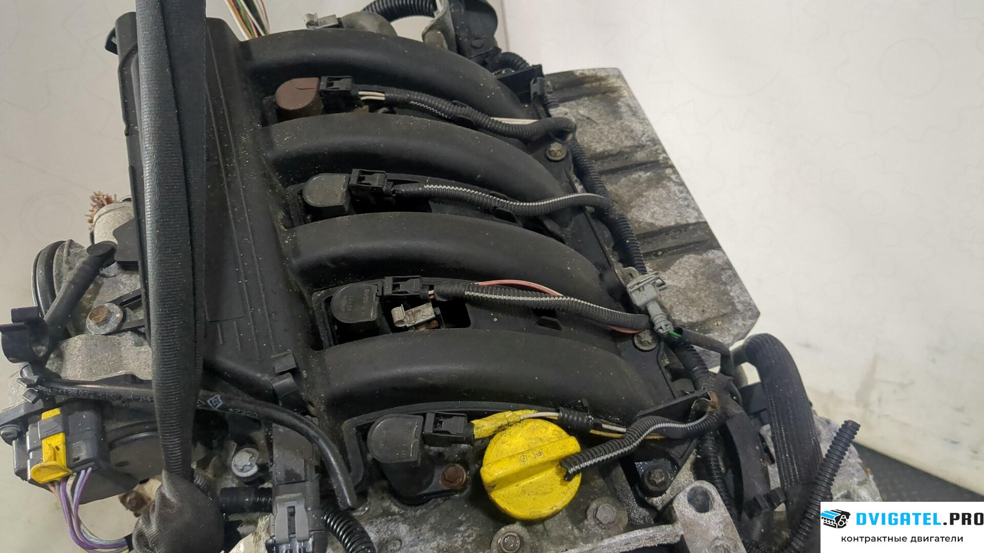 Двигатель Renault Clio 1998 - 2008 K4J 711 1.4 л., Бензин, Инжектор, артикул 8817637